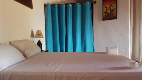 whatsapp_image_2022-11-16_at_9