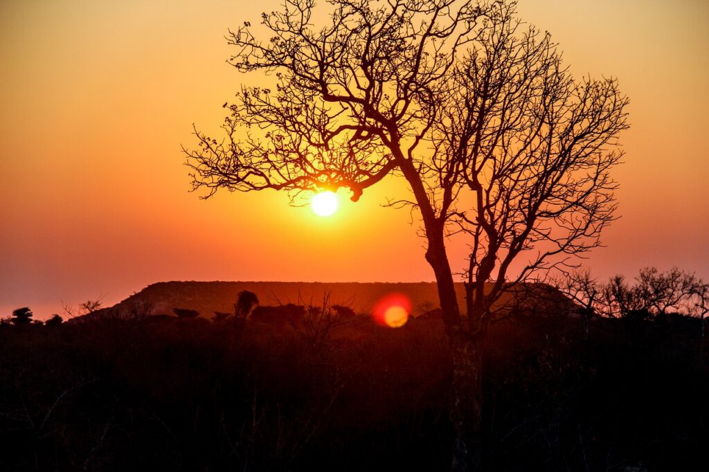 landscape, madagascar, mountains-1908957.jpg